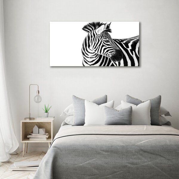 Foto obraz canvas Zebra ve sněhu oc-121577688