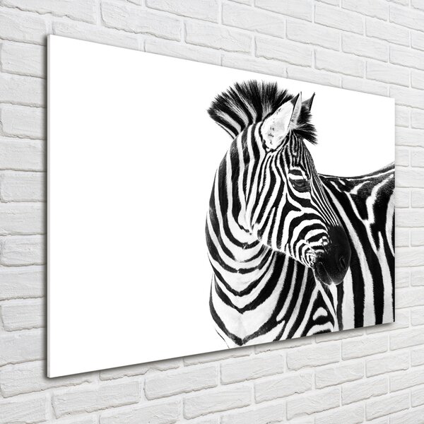 Foto obraz sklo tvrzené Zebra ve sněhu osh-121577688