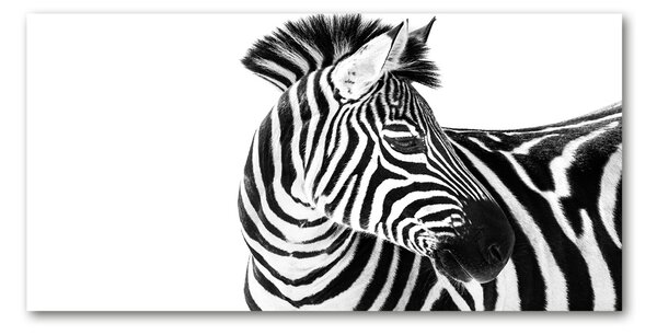 Foto obraz sklo tvrzené Zebra ve sněhu osh-121577688