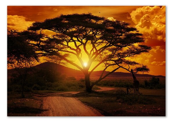 Foto obraz fotografie na skle Západ Afrika osh-12172283