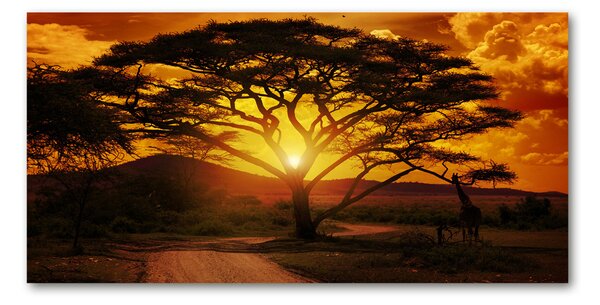 Foto obraz fotografie na skle Západ Afrika osh-12172283