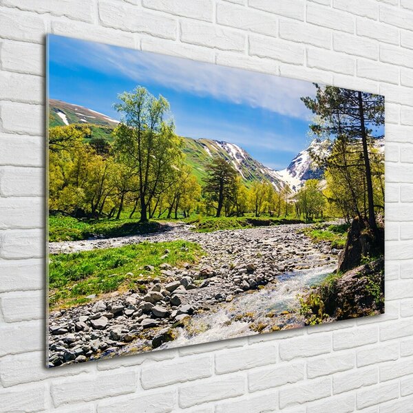 Foto obraz fotografie na skle Řeka v horách osh-121803886