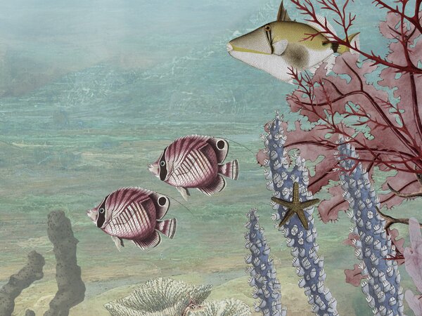 FUGU Fototapeta korálový útes - Coral Creatures Materiál: Digitální eko vlies - klasická tapeta nesamolepicí