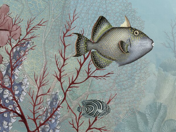 FUGU Fototapeta korálový útes - Coral Creatures Materiál: Digitální eko vlies - klasická tapeta nesamolepicí