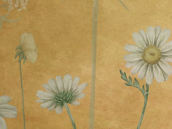 FUGU Tapeta sedmikrásky - Dazzling Daisies Yellow Materiál: Digitální eko vlies - klasická tapeta nesamolepicí