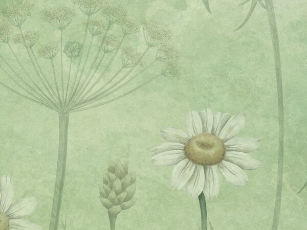 FUGU Tapeta sedmikrásky - Dazzling Daisies Green Materiál: Digitální eko vlies - klasická tapeta nesamolepicí