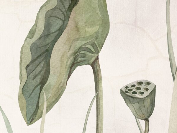 FUGU Tapeta květy leknínů - Lovely Water Lilies Materiál: Digitální eko vlies - klasická tapeta nesamolepicí