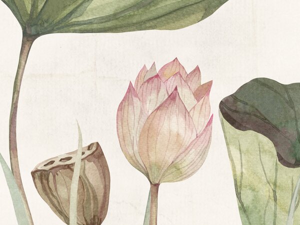 FUGU Tapeta květy leknínů - Lovely Water Lilies Materiál: Digitální eko vlies - klasická tapeta nesamolepicí