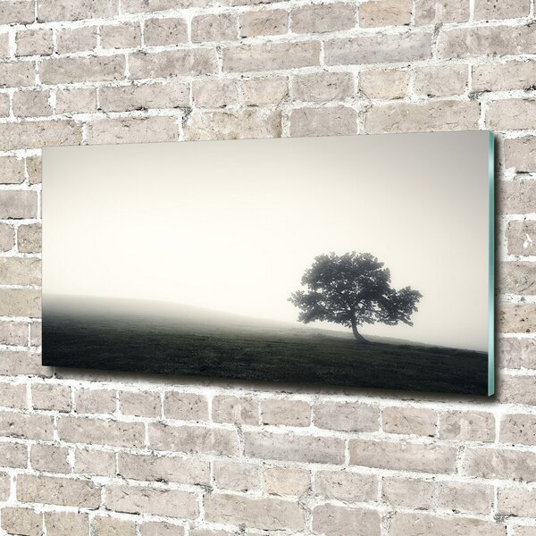 Foto obraz fotografie na skle Strom osh-122846887