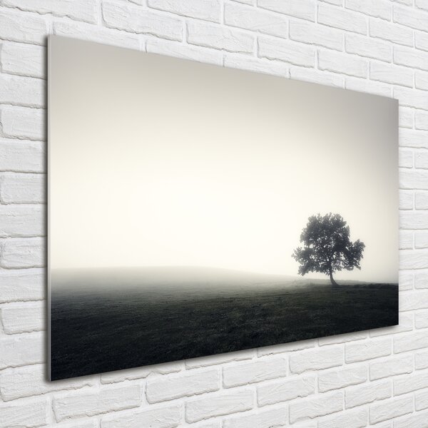 Foto obraz fotografie na skle Strom osh-122846887
