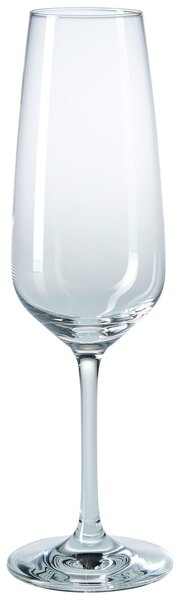 SKLENICE NA SEKT Schott Zwiesel
