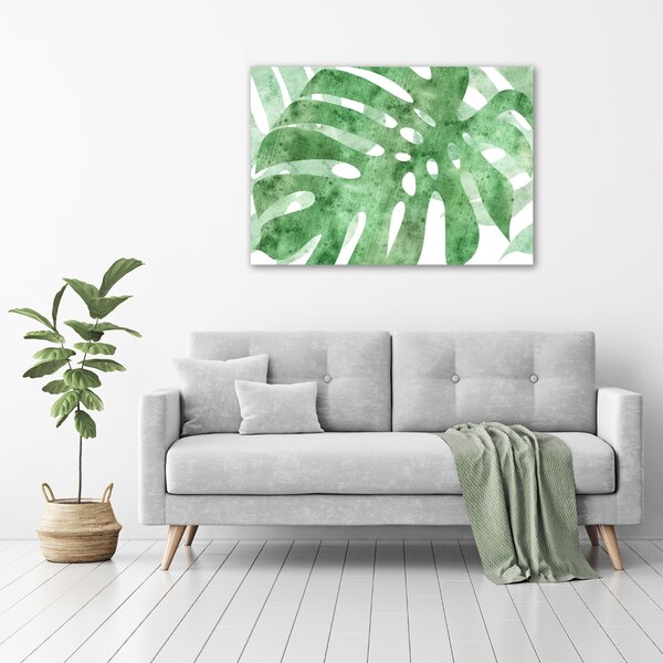 Foto obraz na plátně do obýváku Monstera oc-124503131