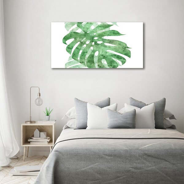 Foto obraz na plátně do obýváku Monstera oc-124503131