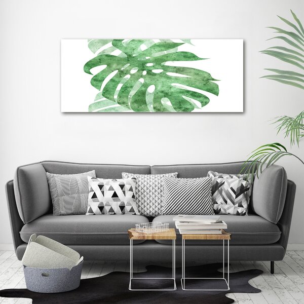 Foto obraz na plátně do obýváku Monstera oc-124503131