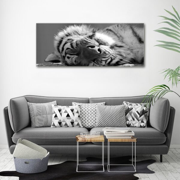 Foto obraz canvas Spící tygr oc-125000206