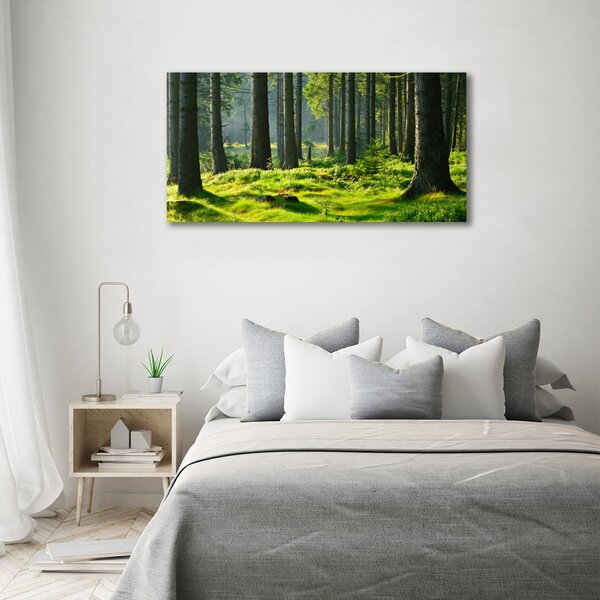 Foto obraz canvas Smrkový les oc-124579847