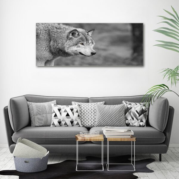 Foto obraz canvas Šedý vlk oc-125421387
