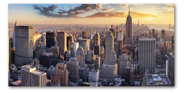 Fotoobraz na skle New York ptačí pohled osh-126216157