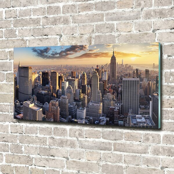 Fotoobraz na skle New York ptačí pohled osh-126216157