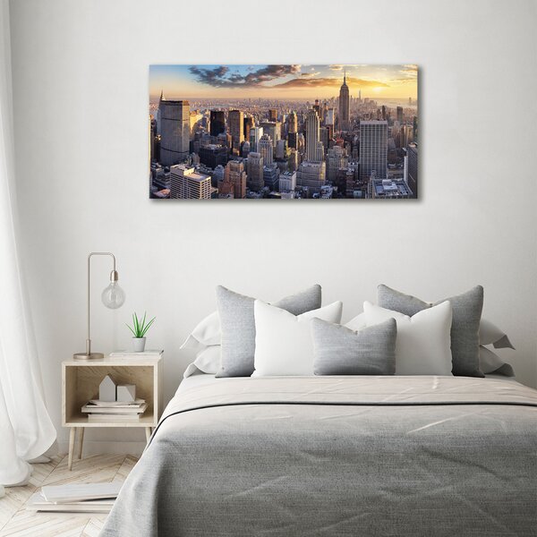 Fotoobraz na skle New York ptačí pohled osh-126216157