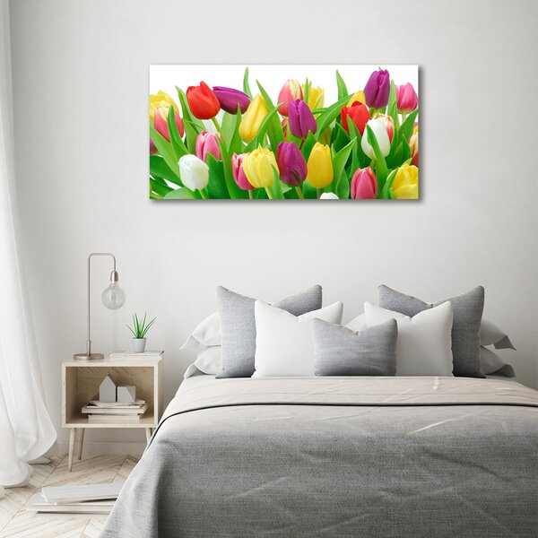 Moderní obraz canvas na rámu Barevné tulipány oc-12652067