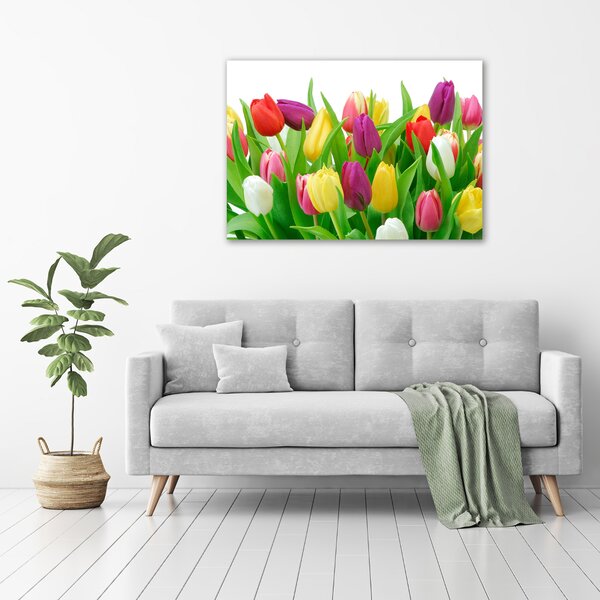 Moderní obraz canvas na rámu Barevné tulipány oc-12652067