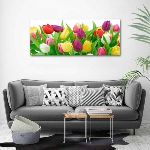 Moderní obraz canvas na rámu Barevné tulipány oc-12652067
