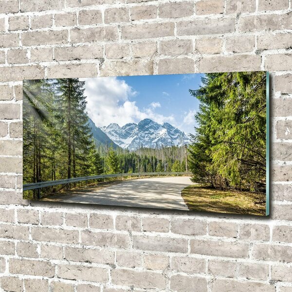 Foto obraz fotografie na skle Cesta Tatry osh-129408685