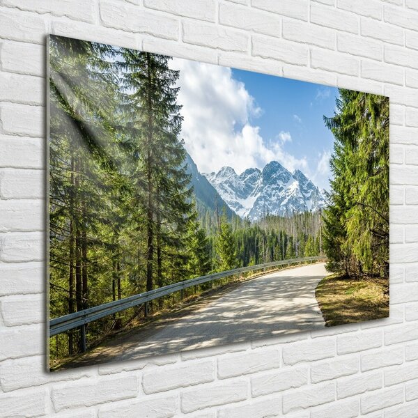 Foto obraz fotografie na skle Cesta Tatry osh-129408685