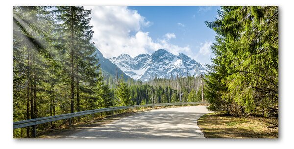 Foto obraz fotografie na skle Cesta Tatry osh-129408685