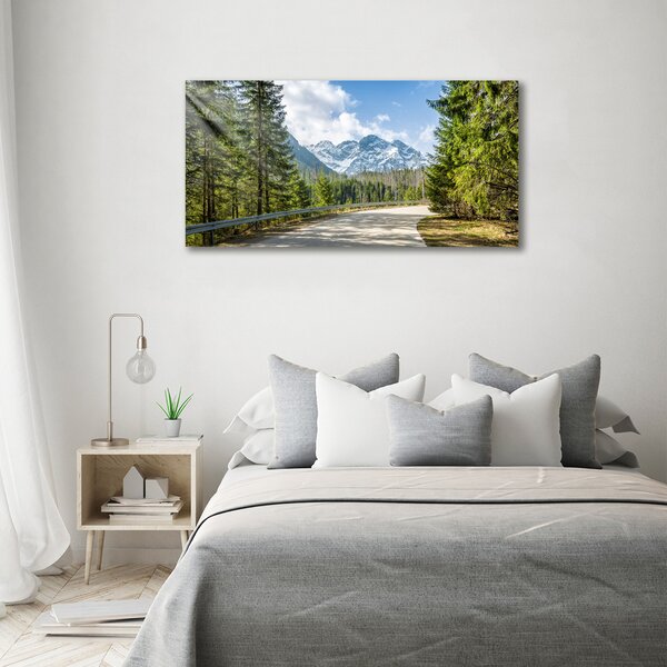 Foto obraz fotografie na skle Cesta Tatry osh-129408685
