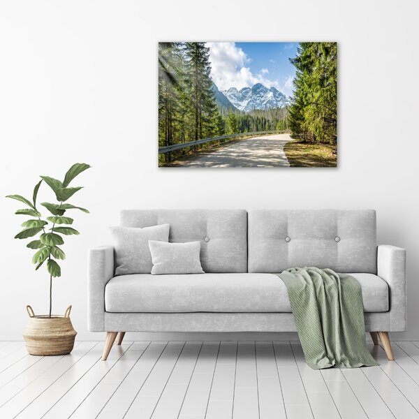 Foto obraz fotografie na skle Cesta Tatry osh-129408685