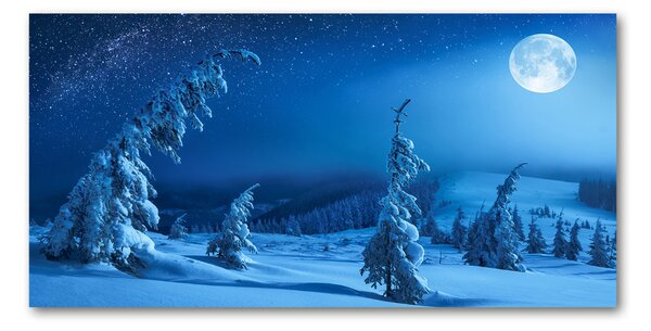 Foto obraz skleněný horizontální Světlo měsíce osh-131503082
