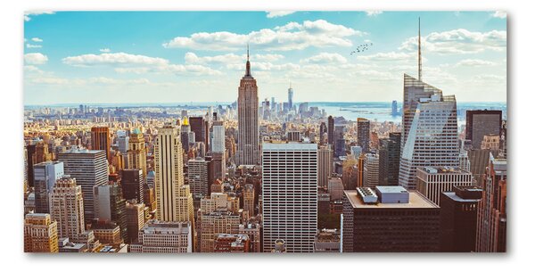 Fotoobraz na skle New York ptačí pohled osh-133162590