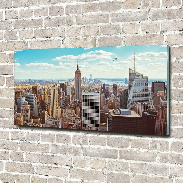 Fotoobraz na skle New York ptačí pohled osh-133162590