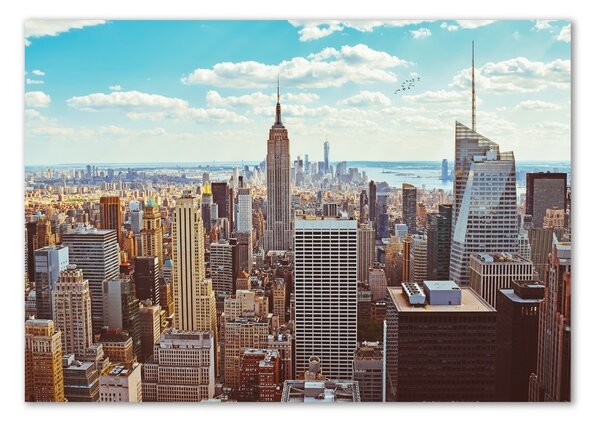 Fotoobraz na skle New York ptačí pohled osh-133162590