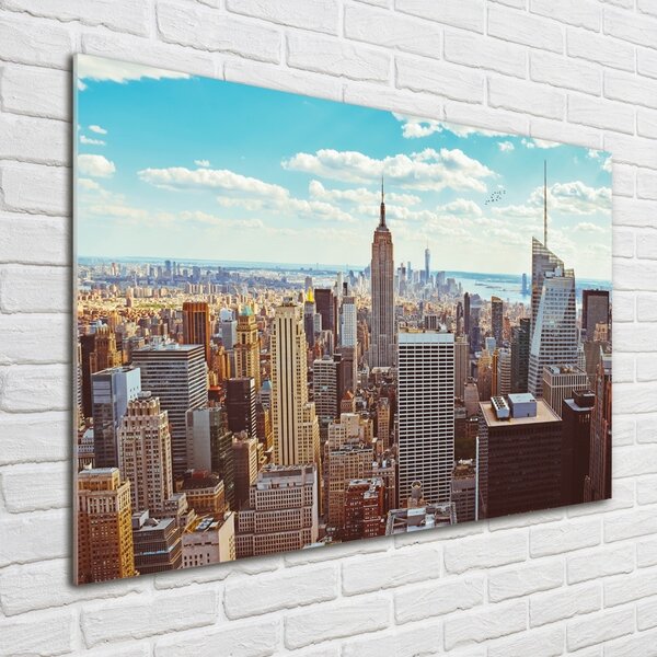 Fotoobraz na skle New York ptačí pohled osh-133162590