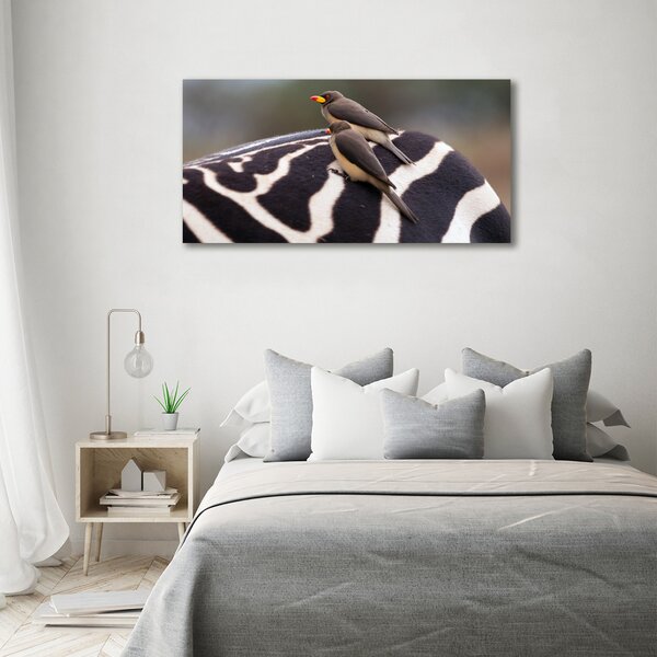 Foto obraz canvas Ptáci a zebra oc-133933149