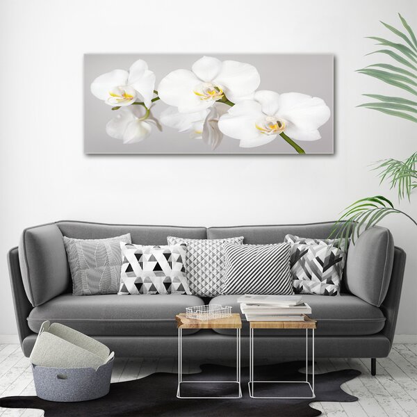 Foto obraz canvas Orchidej oc-133396361