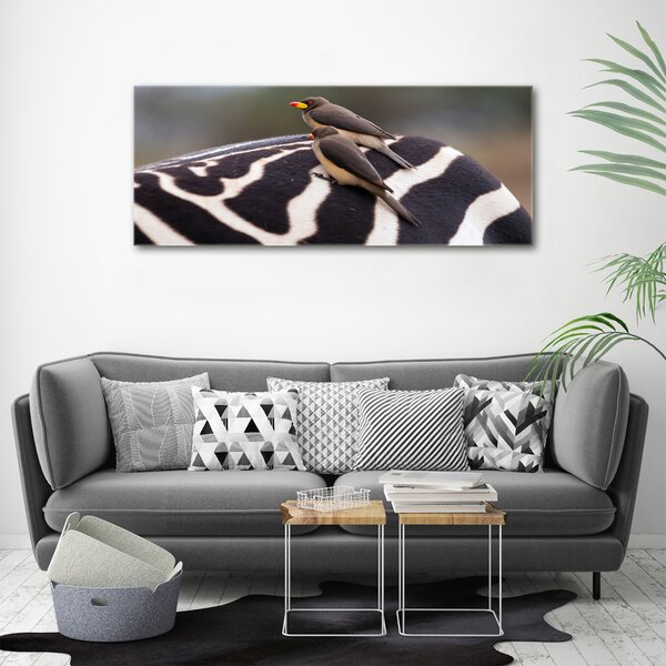 Foto obraz canvas Ptáci a zebra oc-133933149