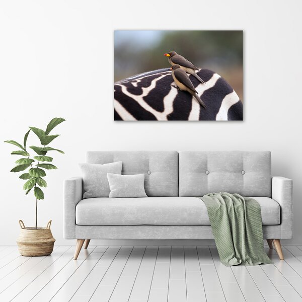 Foto obraz canvas Ptáci a zebra oc-133933149