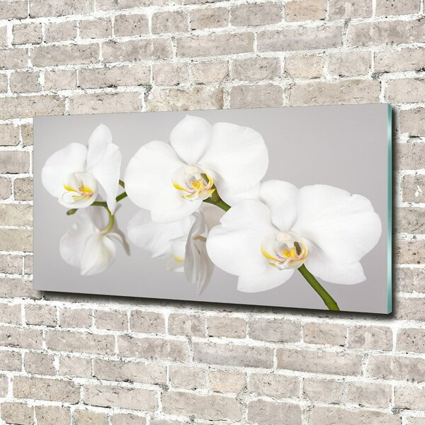 Foto obraz sklo tvrzené Orchidej osh-133396361