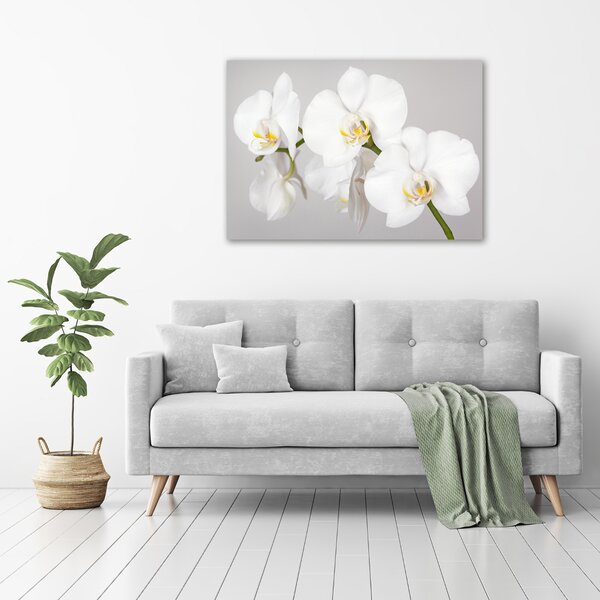 Foto obraz canvas Orchidej oc-133396361