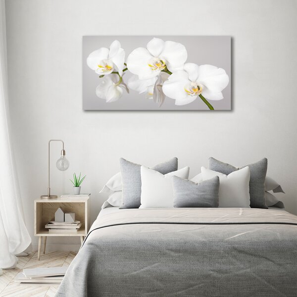 Foto obraz canvas Orchidej oc-133396361