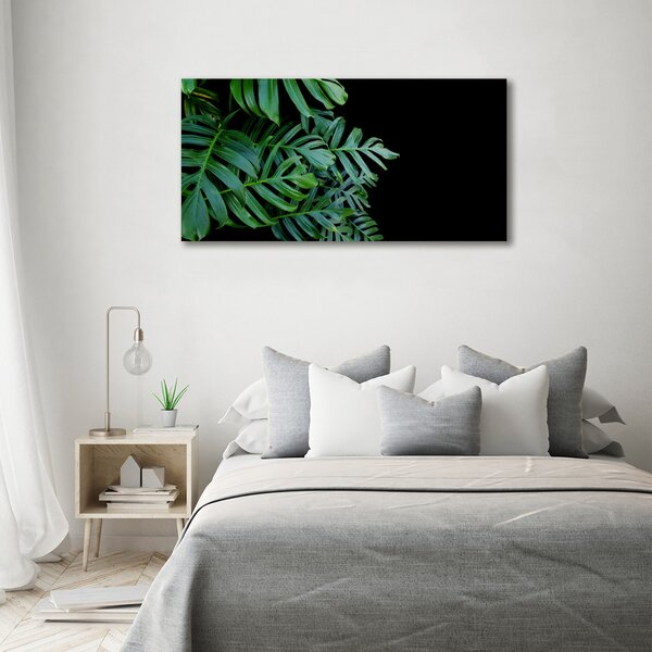 Foto-obraz canvas do obýváku Monstera oc-136056099