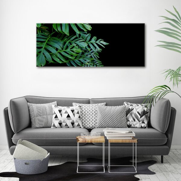 Foto-obraz canvas do obýváku Monstera oc-136056099