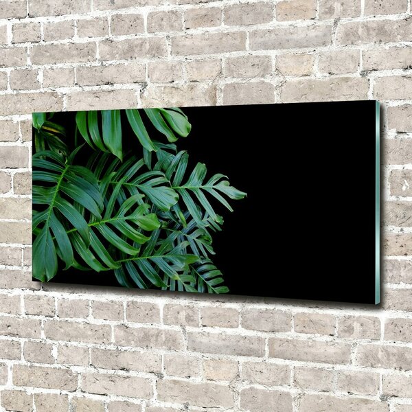 Foto obraz fotografie na skle Monstera osh-136056099