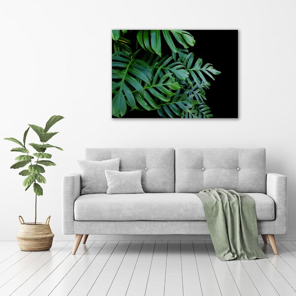 Foto-obraz canvas do obýváku Monstera oc-136056099
