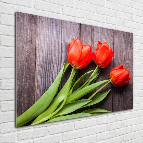 Foto obraz fotografie na skle Červené tulipány osh-137777387