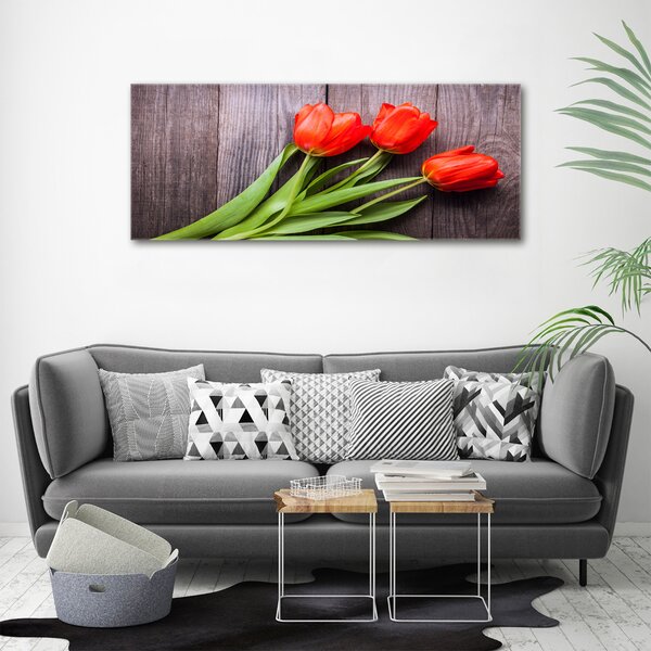 Foto obraz na plátně Červené tulipány oc-137777387